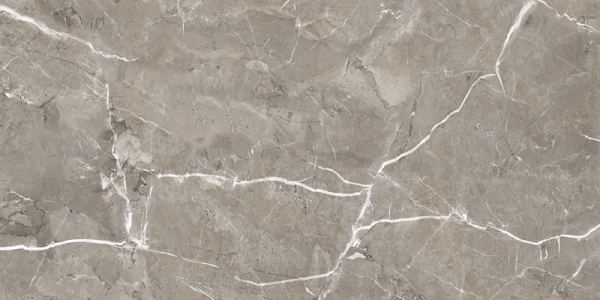 Glossy Radiant Collection Glazed Porcelain Tiles Armonia Gris
