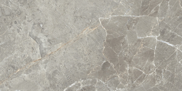 Glossy Radiant Collection Glazed Porcelain Tiles Delmone Natural