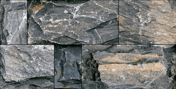 Elevation Wall Cladding Glazed Porcelain Tiles Bosco Natural