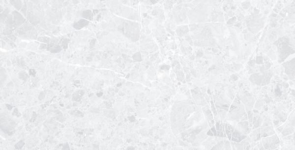 Glossy Radiant Collection Glazed Porcelain Tiles Argento Ice