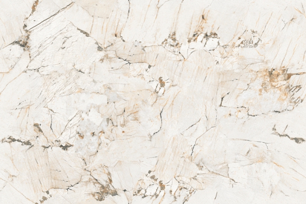 Elegante Surface Glazed Porcelain Tiles Patagonia