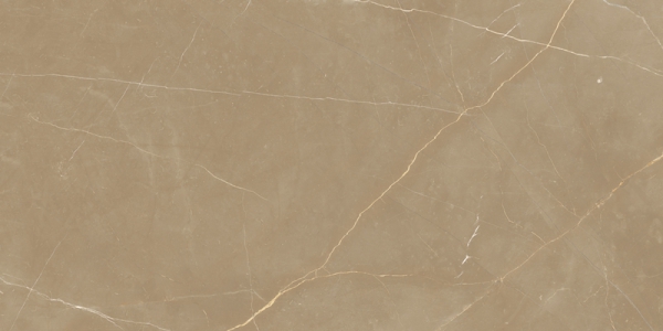Glossy Radiant Collection Glazed Porcelain Tiles Lemosa Brown