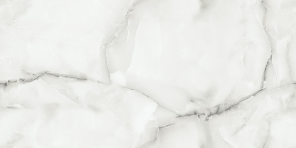 Glossy Millenia Collection Glazed Porcelain Tiles Terrosa Grey