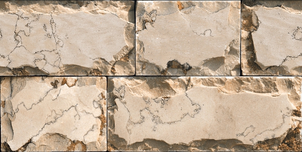 Elevation Wall Cladding Glazed Porcelain Tiles Boraton Natural Metrix