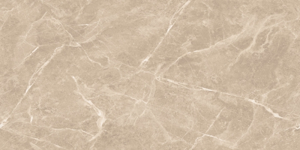 Glossy Endless Collection Glazed Porcelain Tiles Grizzly Brown