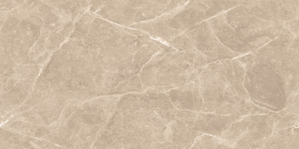 Glossy Endless Collection Glazed Porcelain Tiles Grizzly Brown