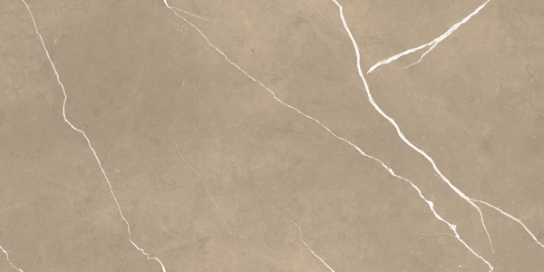 Glossy Endless Collection Glazed Porcelain Tiles Bosco Brown