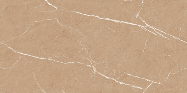 Glossy Endless Collection Glazed Porcelain Tiles Texon Brown