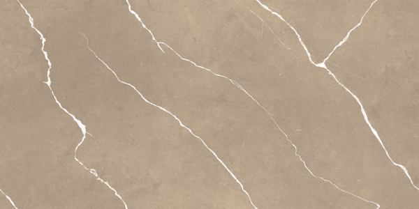 Glossy Endless Collection Glazed Porcelain Tiles Bosco Brown