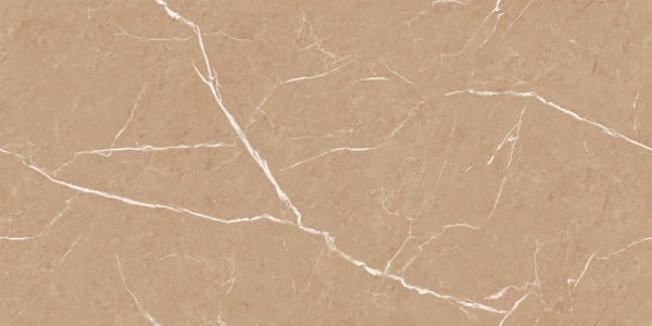 Glossy Endless Collection Glazed Porcelain Tiles Texon Brown