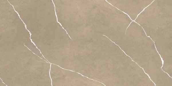 Glossy Endless Collection Glazed Porcelain Tiles Bosco Brown